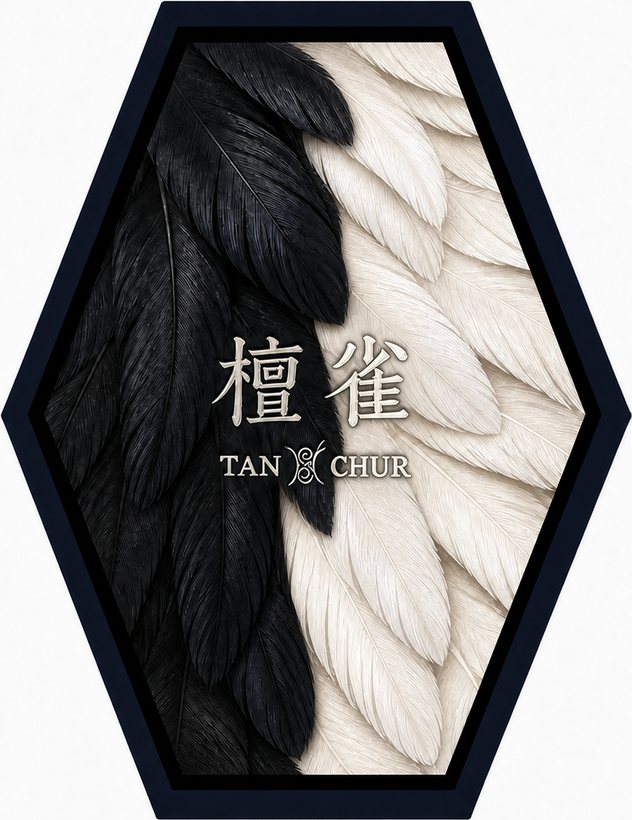玄鸦图腾